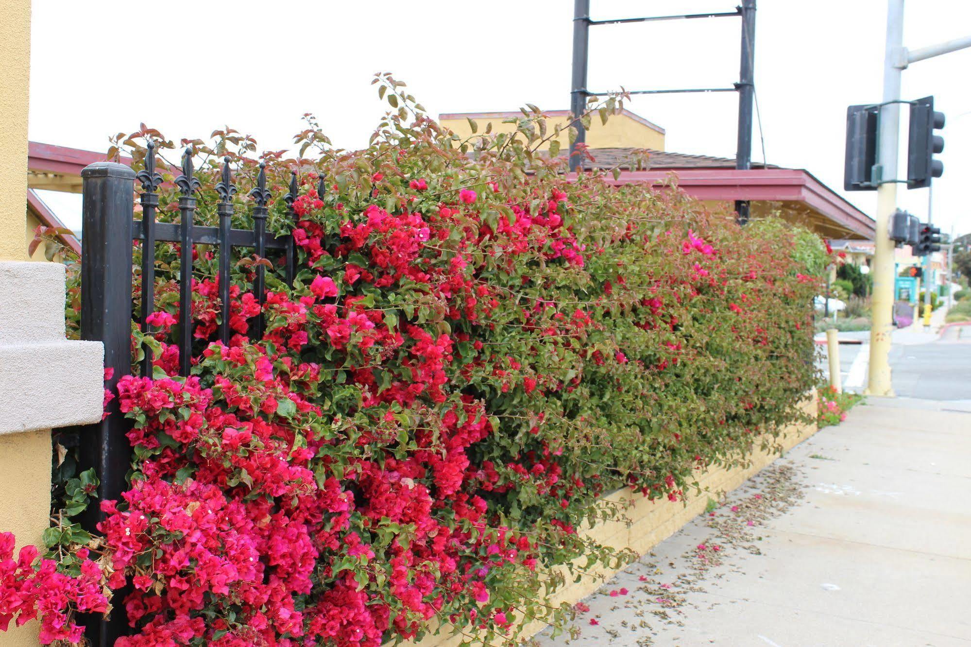 Surestay Hotel By Best Western Seaside Monterey Exterior foto